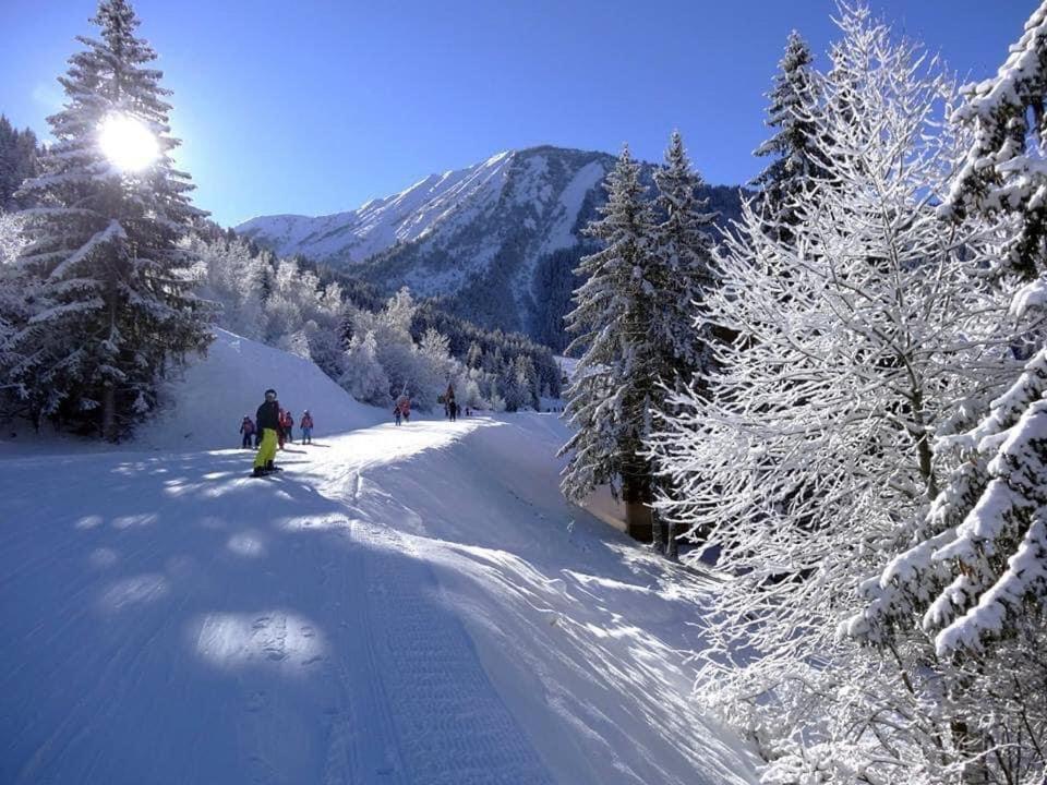 Le Grandcoeur Apartment Le Bourg-dʼOisans Екстериор снимка